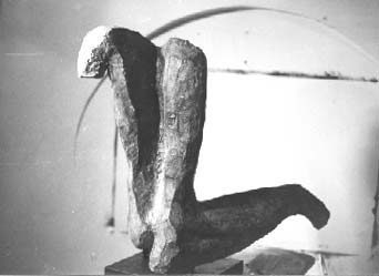 foto el origen
